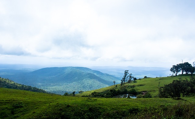 能够通过团 能够通过团