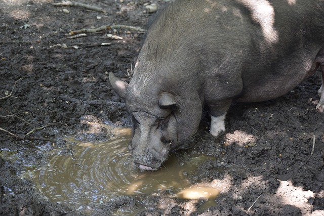 能够融入到 能够融入到