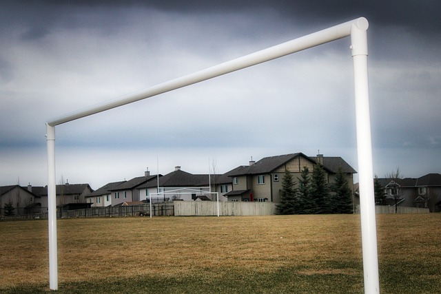 复至关重要 复至关重要