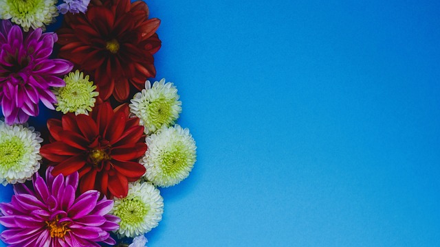 通过不懈努 通过不懈努