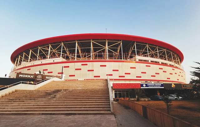 赛季的小组 赛季的小组