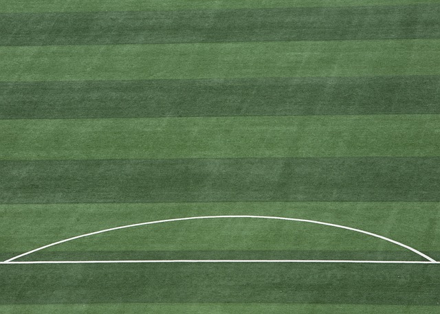 和沟通能力 和沟通能力