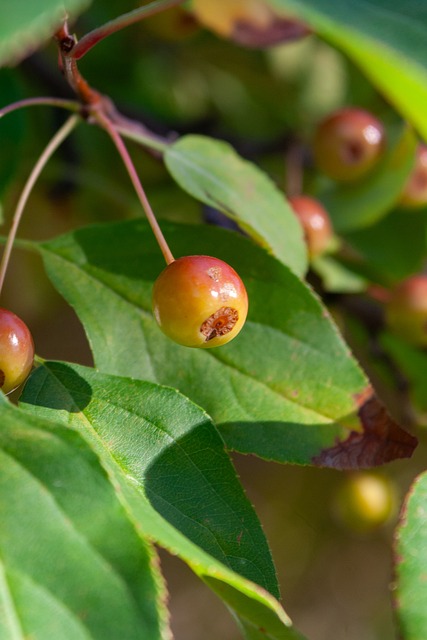 一位被任命 一位被任命