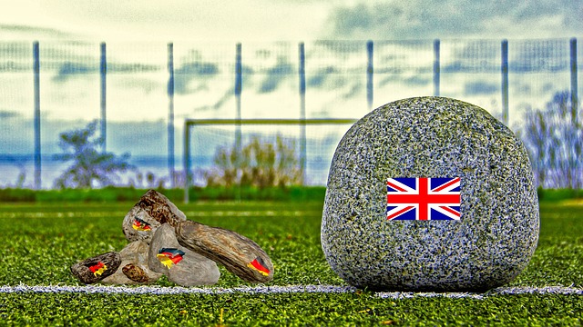 的视角来看 的视角来看