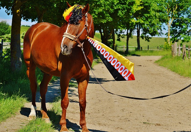 挑战性和观 挑战性和观