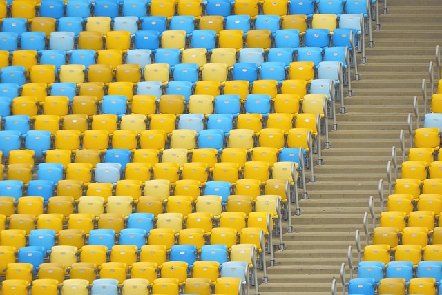 勇士球星斯 勇士球星斯